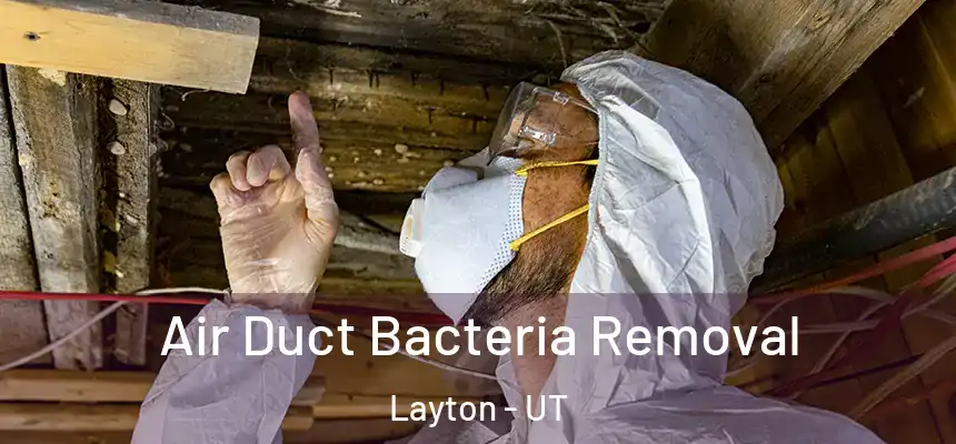 Air Duct Bacteria Removal Layton - UT