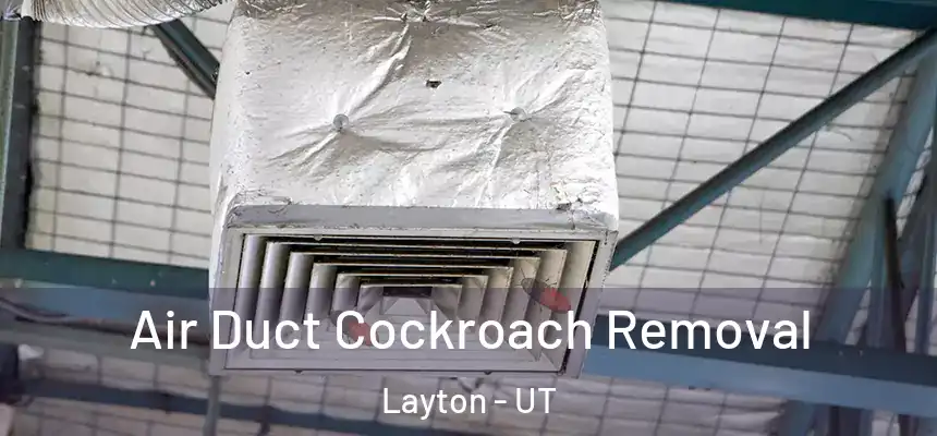 Air Duct Cockroach Removal Layton - UT