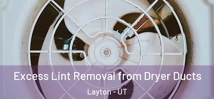 Excess Lint Removal from Dryer Ducts Layton - UT