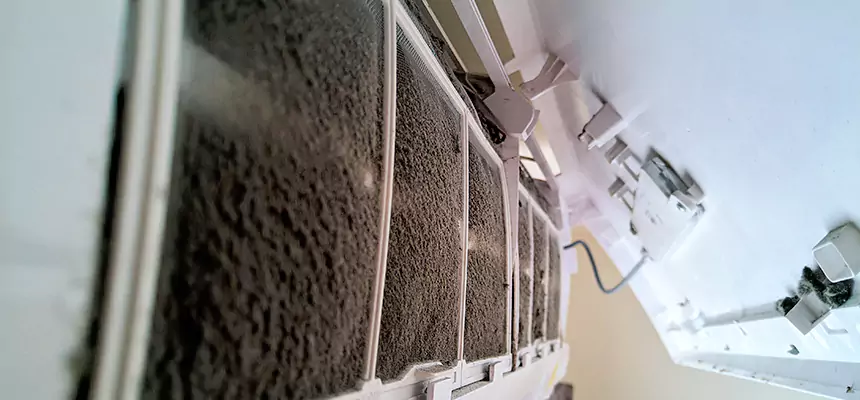 Preventive Air Duct Bacteria Removal in Layton