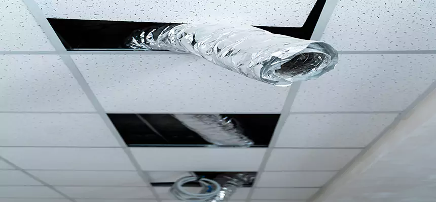 Our Air Duct Pet Hair Removal Services in Layton, UT