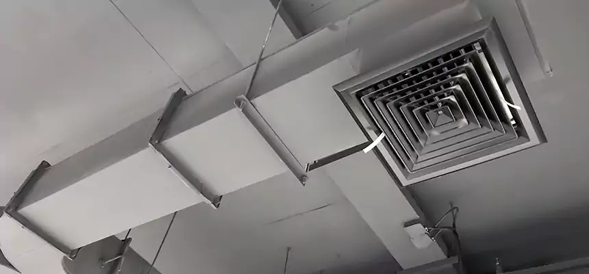 Restorative Allergy Relief Vent Cleaning – Coil, Blower & Housing Detail in Layton