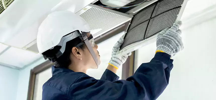 Our Mold & Mildew Removal from Air Ducts Services in Layton, UT