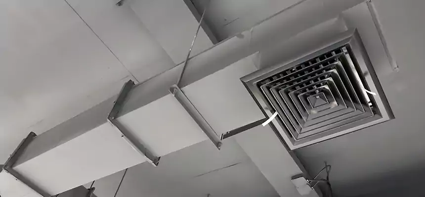 Our Rodent Droppings In Vents Services in Layton, UT