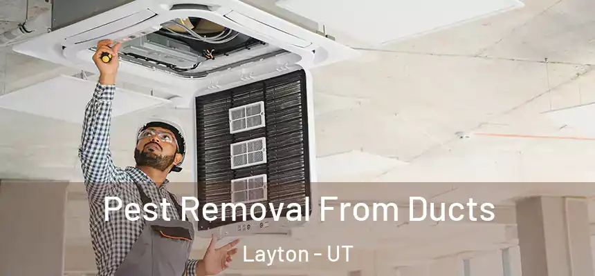 Pest Removal From Ducts Layton - UT