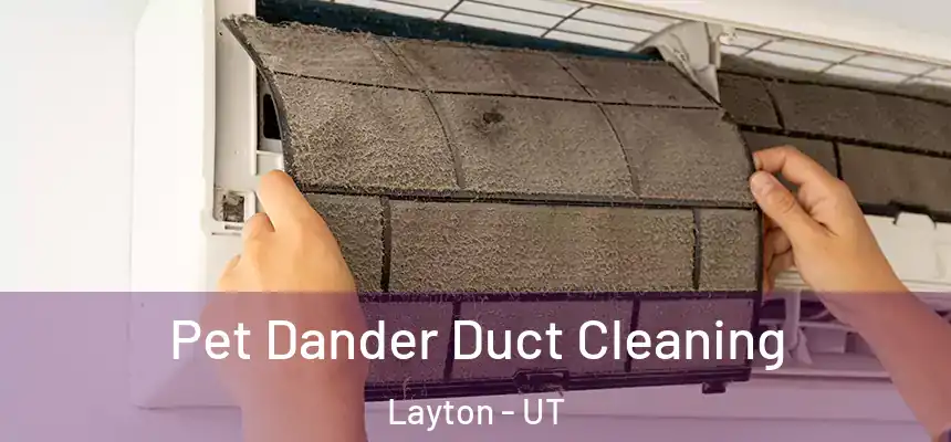 Pet Dander Duct Cleaning Layton - UT