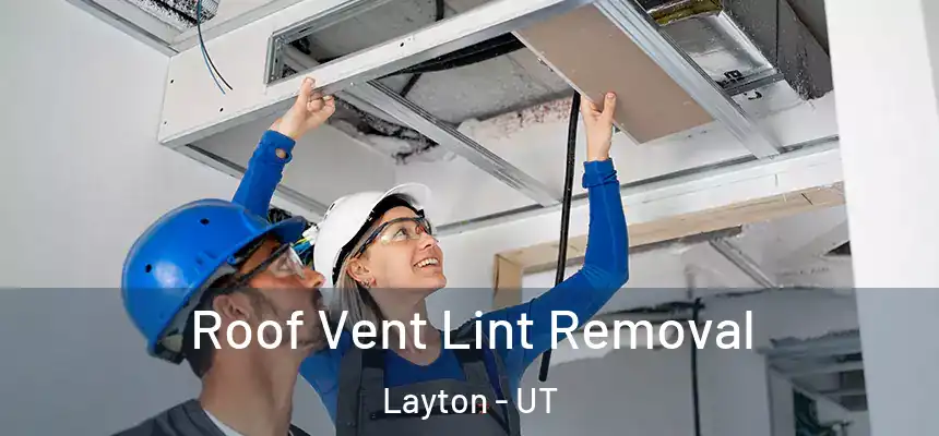 Roof Vent Lint Removal Layton - UT