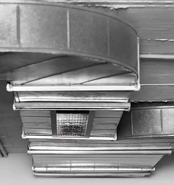 Professional Air Duct Pest Removal in Layton, UT