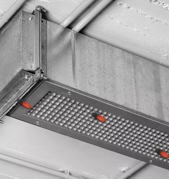 Affordable Insect Removal from Air Ducts in Layton, UT