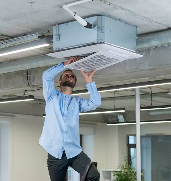 Advanced Rodent Droppings In Vents in Layton, UT