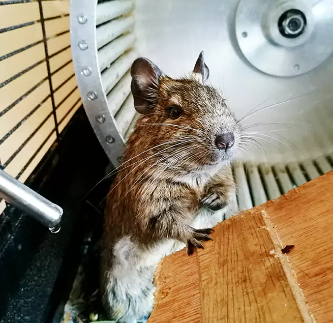 Why Homeowners & Businesses Trust Us Layton, UT?