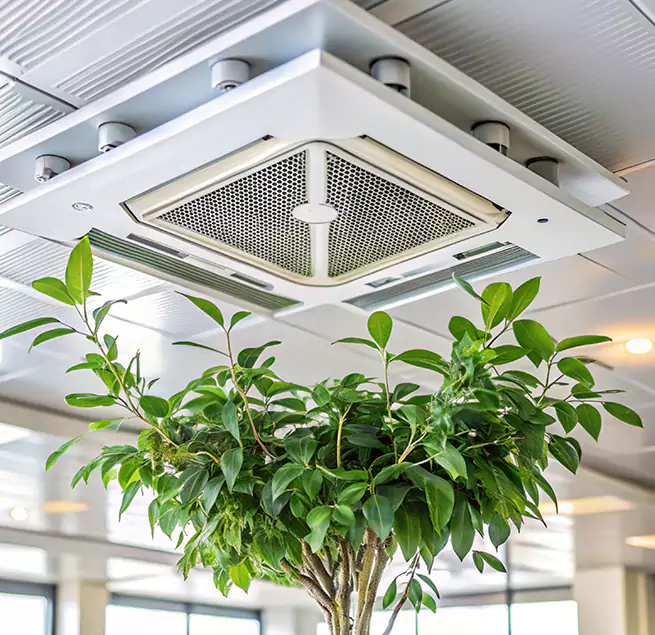 Why Homeowners & Businesses Trust Us in Layton, UT